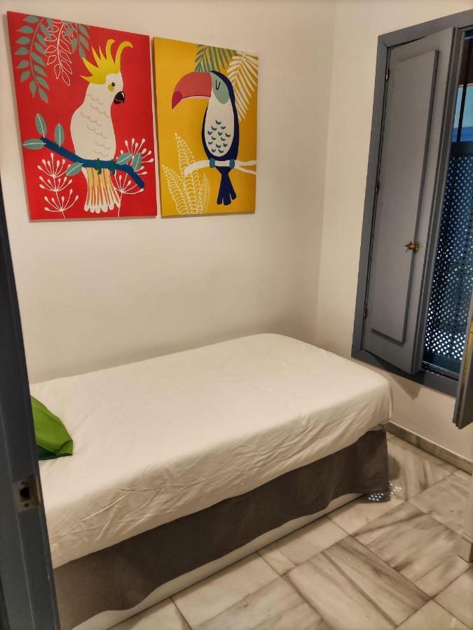 Coqueto Donkey Apartment เซบีญา ภายนอก รูปภาพ